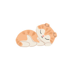 Cute ginger kitten sleeping. Cartoon domestic animals illustration.