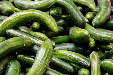 fresh cucumber on market stall
