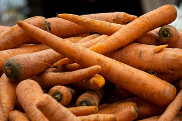 carrots on the market