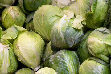 Cabbage in the market