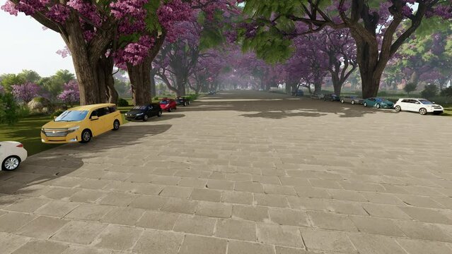 Neighborhood with pink jacaranda tree, 4K