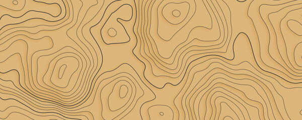 Fototapeta premium Topographic multicolored linear background for design, abstraction with place for text, Topographic background and texture, monochrome image. 3D waves, contour background. wood grain texture. 