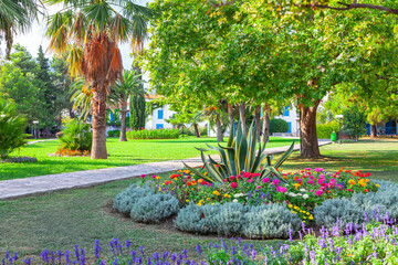 Ornamental garden with blossom flowers . Sidewalk in the tropical park 