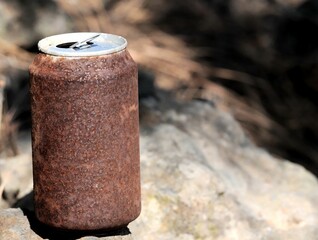 Rusty Can