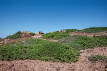 Photo sur Plexiglas Cala Pregonda, île de Minorque, Espagne Mediterranean shrublands next to Cala Pregonda, in the municipality Es Mercadal, Menorca, Balearic Islands, Spain