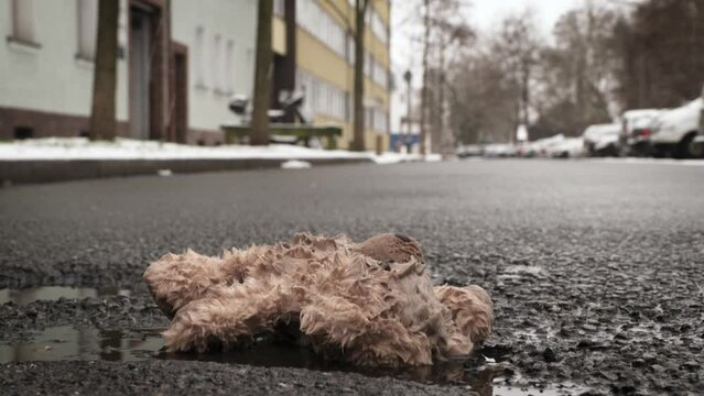 Child Abuse, family violence, orphanage concept: ​teddybear lying in the street. Snow, dark urban setting. Slow motion.