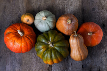 Set of different pumpkins on old wooden background. Different varieties. Orange, green and gray pumpkin. Autumn harvest. Halloween and Thanksgiving food.