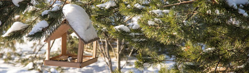 Banner with a bird tit in a wooden feeder in winter.