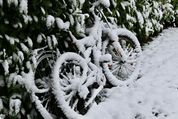 snow covered bikes