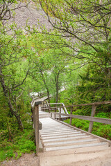 Hiking trail with stairs down into a ravine