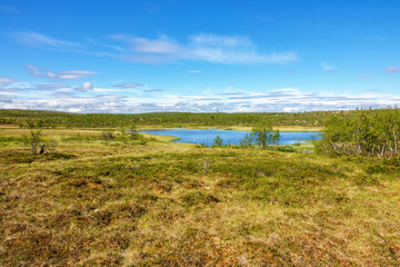 Lake in a bog landscape view