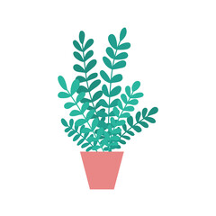 House plant vector illustration. Flat style homeplant clip art