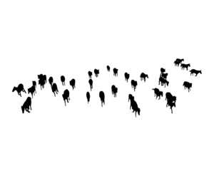 Set of horse silhouette in line art style.Horse vector by hand drawing.Horse tattoo on white background.Black and white horse illustration. Illustration of a herd of horses running in the meadow