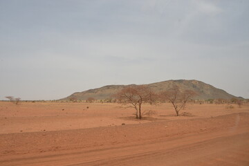 Fototapeta na wymiar le desert nord du Burkina faso