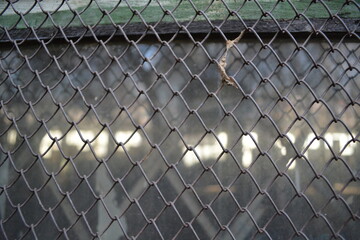 Braided Metal Grating