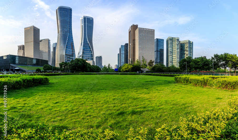 Wall mural city skyline and modern commercial buildings with green grass in hangzhou, china.