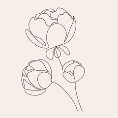 Line Art flowers plants. Botanical poster. Contemporary one-line art, aesthetic contour. Ideal for home decor, wall art posters or t-shirt printing, mobile case. Continuous drawing o