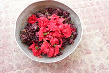 Fresh Green Mango fruit  isolated on Wood background