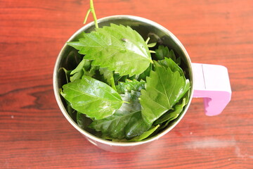 Red Hibiscus Leaves on a Wood background