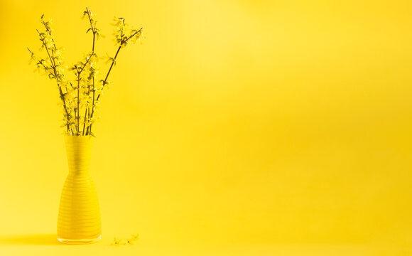 Yellow Vase Images – Browse 164,735 Stock Photos, Vectors, and Video |  Adobe Stock