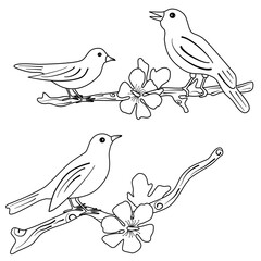 cute cartoon balck and white birds sitting on branches with beautiful spring flowers vector set illustration for coloring art