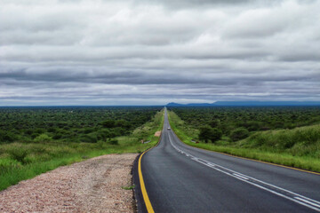 Fototapeta premium Landschaft in Namibia in der Regenzeit 