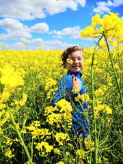 Fototapeta premium gelb blühendes Rapsfeld im Frühling