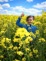 Fototapeta premium gelb blühendes Rapsfeld im Frühling
