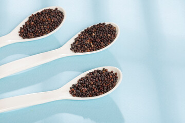 Brassica Nigra - Black Mustard Seeds Or Ajenabe