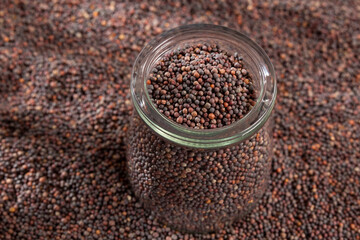 Brassica Nigra - Black Mustard Seeds Or Ajenabe