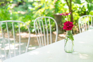 beautiful rose flower in vase decorated on table