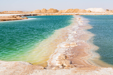 Natural Salt water lake in desert. Oasis in Siwa, Egypt. Tourism spot in Egypt - obrazy, fototapety, plakaty
