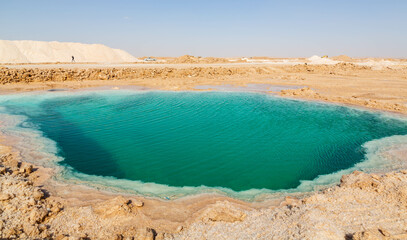 Natural Salt water lake in desert. Oasis in Siwa, Egypt. Tourism spot in Egypt - obrazy, fototapety, plakaty