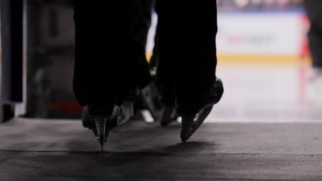Hockey players legs in skates go to play at tournament on ice rink close backside view. Professional sportsmen at match