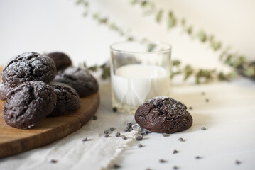 chocolate chip cookies and milk