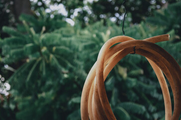 Rubber pipes hanging in the back of a house