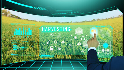 Farmers harvest their crops using smart farm technology and display the screen of the rice ready to be harvested. Remotely control the world with the smart farm concept.
