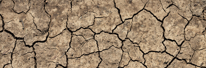 Texture of cracked dried soil. Dry ground with cracks. Brown rough surface of the soil during summer drought. Wide panoramic background for design. Ecology, climate change and global warming on Earth.