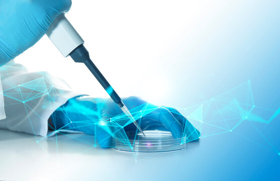 pipetta, analisi, laboratorio, ingegneria genetica, scienza