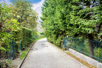 Lawn, trees, green hedge and a path in a summer park.