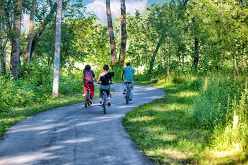 A group of friends riding their bicycles in a park in summer.