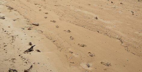 Fototapeta na wymiar footprints on the beach sand