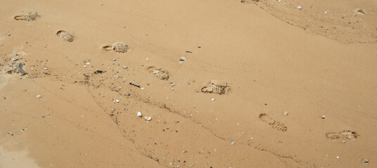 footprints on the beach sand