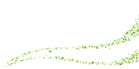 Leaves Green Falling Flying Foliage Leaf Tea Mint