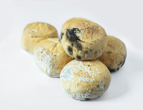 Picture of a pile of expired bread or dough contaminated with mold or bacteria that are harmful to health.
