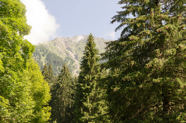 Im Vereinatal in Graubünden. Beginn eines Sommertages