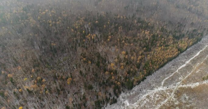 Winter Forest bird's-Eye View. Mariel. Aerial View. Quadrotor Filming
