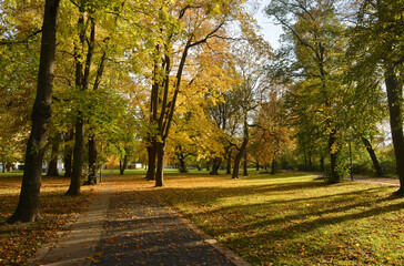 Beautiful autumn colors and trees in a park in Bad Kosen, Germany