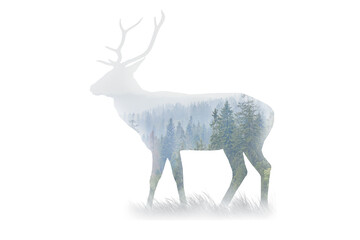 Reindeer figure on white background multiple exposures