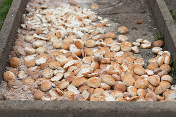 Dry bread thrown on the street. "Stop food waste" concept photo.